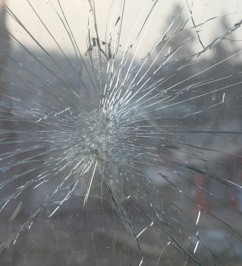 glasschade vissersglas